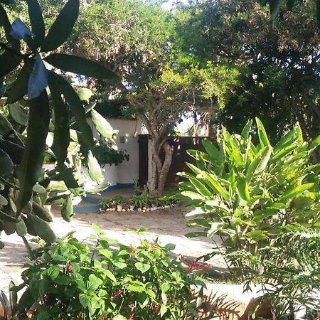 Geriba House Buzios Hotel Exterior photo